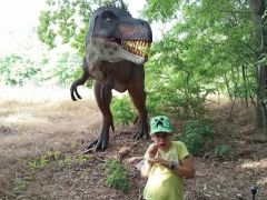 A fényképet készítette: Erika Verebi